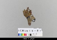 中國北京皮影藏品圖，第2張